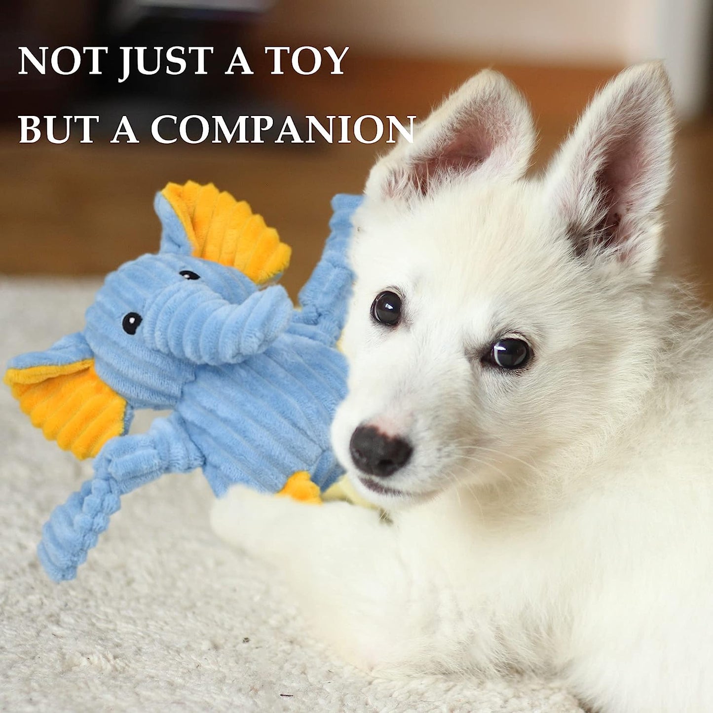 5 Pack Tough Dog Toys Stuffed Squeaky Dog Toys Assortment Plush Animal Dog Toy V